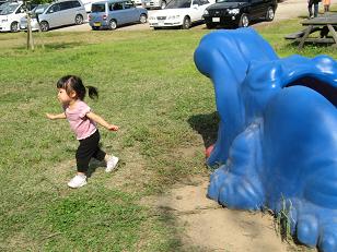 img_1441.jpg