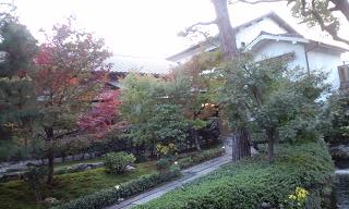 img20091104_1.jpg