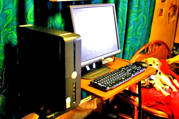 img20080324_5.jpg