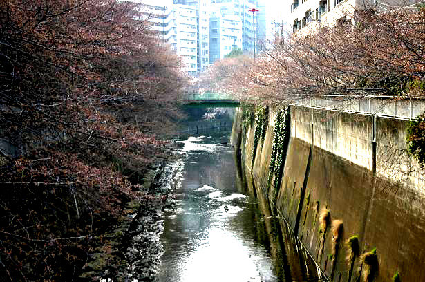 img20080324_1.jpg