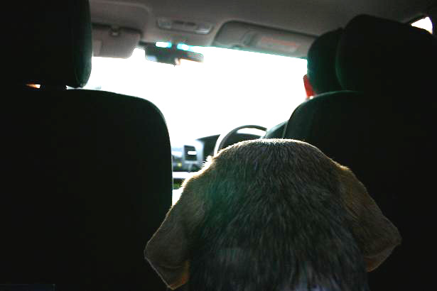 img20080325_8.jpg