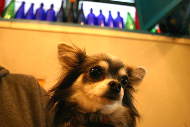 img20080401_4.jpg