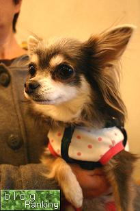 img20080401_8.jpg