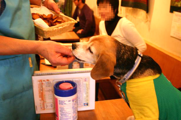 img20080401_5.jpg