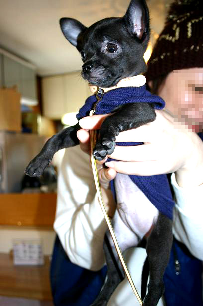 img20080325_2.jpg