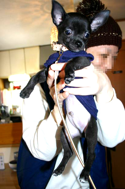 img20080325_3.jpg