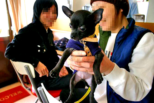 img20080324_4.jpg