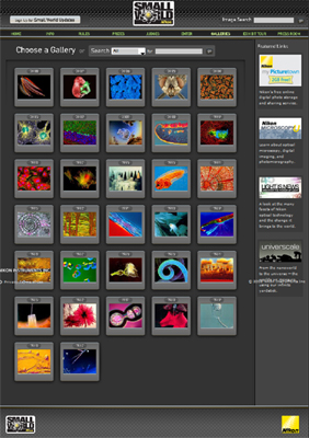 diary081018_nikonsmallworld.jpg