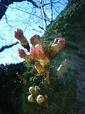 img20090320.jpg