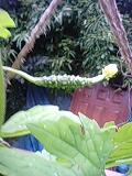 img20090728_1.jpg