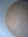 img20090406.jpg