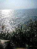 img20090829.jpg