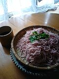 img20090328.jpg