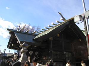 p1010036.jpg