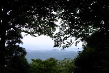 _0020302.jpg