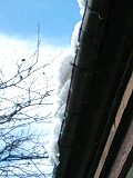 img20100204.jpg
