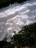 img20100204_1.jpg