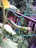 img20090723.jpg