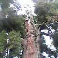 sh0625.jpg