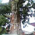 sh0623.jpg