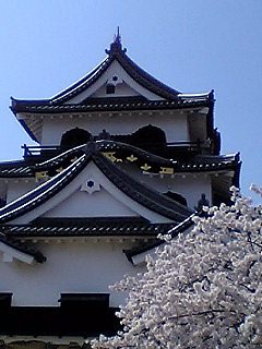 0416-03.jpg