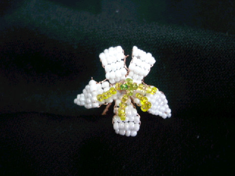 DSC078630004.jpg