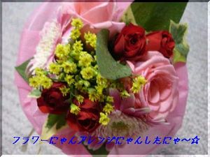 DSC024810001arenji_1.jpg