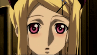 img20081203.gif