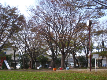 img_4234.jpg