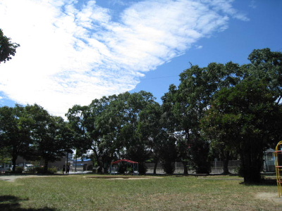 img_3977.jpg
