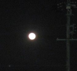 img_0851.jpg