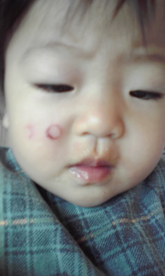 img20090628.jpg