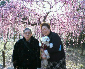 200702261605000.jpg