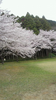 201004071506001