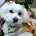 img20050207.jpg