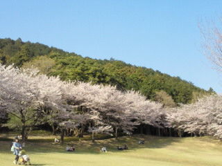 201104131538001