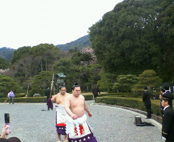 200803301106000.jpg