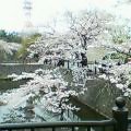img20050418.jpg