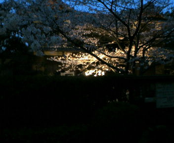 img20060407.jpg