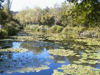 img20060924_1.jpg