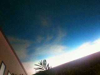 img20060917_5.jpg