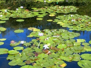 img20060924_2.jpg