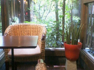 img20060806_1.jpg