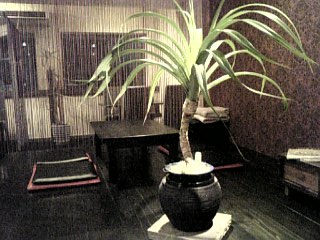 img20081207_2.jpg