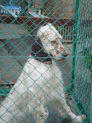 img20070501.jpg