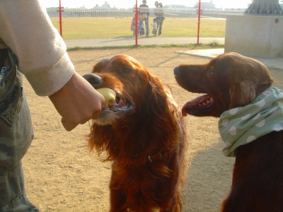 img20061030_2.jpg
