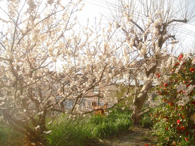 img20070228.jpg