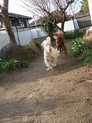 img20080303_1.jpg