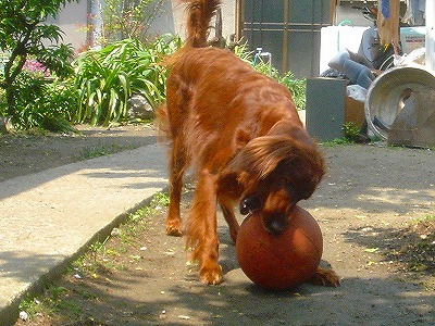 img20070426_3.jpg