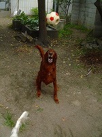 img20070630_5.jpg